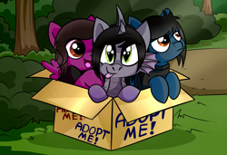 Size: 2205x1507 | Tagged: safe, artist:tigresss, imported from derpibooru, earth pony, pegasus, pony, siren, baby, baby siren, box, bring me the horizon, cardboard box, clothes, colt, commission, curved horn, fins, foal, frown, grass, hair over one eye, happy, horn, kellin quinn, looking at you, male, oliver sykes, open mouth, outdoors, pierce the veil, ponified, pony in a box, sad, scales, shirt, sleeping with sirens, slit eyes, slit pupils, t-shirt, tongue out, tree, trio, vic fuentes, wings, ych result, younger