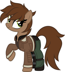 Size: 1632x1809 | Tagged: safe, artist:pegasski, imported from derpibooru, oc, oc only, oc:cali ajax, earth pony, pony, clothes, female, jacket, mare, simple background, solo, transparent background