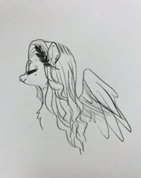 Size: 1630x2048 | Tagged: safe, artist:opalacorn, imported from derpibooru, oc, oc only, oc:void, pegasus, pony, ear piercing, earring, eyes closed, jewelry, nose piercing, nose ring, piercing, sketch, smiling, solo, spread wings, traditional art, wings