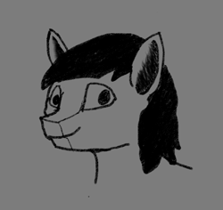 Size: 722x681 | Tagged: safe, artist:glorval, imported from derpibooru, oc, oc:gabe, pony, bust, monochrome, portrait, simple background, sketch