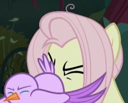 Size: 720x582 | Tagged: safe, imported from derpibooru, screencap, mean fluttershy, bird, the mean 6, clone, cropped, cursed image, meme