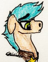 Size: 1559x2026 | Tagged: safe, artist:beamybutt, imported from derpibooru, oc, oc only, earth pony, pony, clothes, earth pony oc, floppy ears, male, signature, solo, stallion, traditional art
