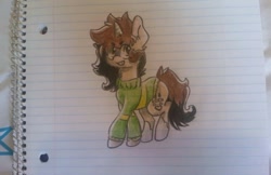 Size: 1024x662 | Tagged: safe, artist:gravityfox10, imported from derpibooru, oc, oc only, pony, unicorn, chara, clothes, female, grin, horn, lined paper, mare, paw prints, smiling, undertale, unicorn oc