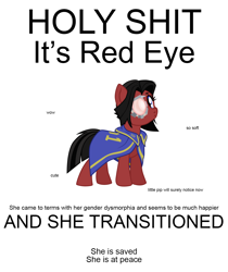 Size: 1170x1392 | Tagged: safe, artist:aaronmk, imported from derpibooru, oc, oc only, oc:red eye, earth pony, pony, fallout equestria, cape, cloak, clothes, cybernetic eyes, fallout, female, mare, prosthetic eye, prosthetics, rule 63, simple background, solo, solo female, text, transgender, vector, vulgar, white background