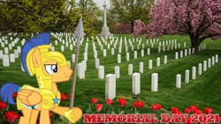Size: 2064x1163 | Tagged: safe, artist:not-yet-a-brony, imported from derpibooru, flash sentry, 2021, arlington national cemetary, armor, cemetery, flower, gravestone, graveyard, lyrics in the description, memorial day, spear, tree, weapon, youtube link in the description