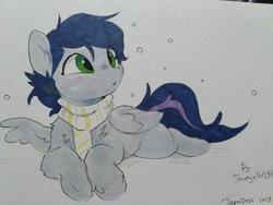 Size: 1333x1000 | Tagged: safe, artist:apple_nettle, artist:shuryashish, imported from derpibooru, oc, oc only, pegasus, pony, bubble, clothes, lying down, scarf, solo, traditional art