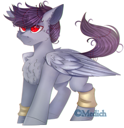 Size: 2292x2368 | Tagged: safe, artist:mediasmile666, imported from derpibooru, oc, oc only, pegasus, pony, fangs, folded wings, high res, male, red eyes, simple background, slit eyes, slit pupils, solo, stallion, standing, transparent background, wings