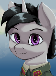 Size: 1280x1724 | Tagged: safe, artist:monx94, imported from derpibooru, oc, oc only, oc:lucky roll, pony, unicorn, equestria at war mod, bust, clothes, commission, head, horn, looking at you, military, military uniform, portrait, smiling, smiling at you, solo, unicorn oc, uniform