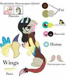 Size: 1078x1263 | Tagged: safe, artist:cocolove2176, imported from derpibooru, discord, fluttershy, oc, draconequus, hybrid, pegasus, pony, abstract background, blushing, draconequus oc, female, interspecies offspring, male, mare, offspring, parent:discord, parent:fluttershy, parents:discoshy, reference sheet