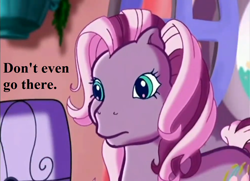 Size: 970x701 | Tagged: safe, edit, edited screencap, imported from derpibooru, screencap, wysteria, the princess promenade, concerned, g3, reaction image, speech, talking, teal eyes, text, window
