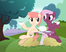 Size: 9609x7611 | Tagged: safe, artist:thatusualguy06, imported from derpibooru, jasmine leaf, raspberry vinaigrette, earth pony, pony, absurd resolution, base used, cup, duo, female, food, hay, hoof hold, looking at each other, mare, missing accessory, mushroom table, open mouth, open smile, show accurate, smiling, tea, teacup, teapot, tree, vector