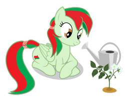 Size: 2738x2190 | Tagged: safe, artist:the-dark-tc, imported from ponybooru, oc, oc only, pegasus, pony, belarus, crossed hooves, female, green coat, mare, nation ponies, pegasus oc, plant, ponified, prone, simple background, smiling, solo, transparent background, two toned mane, two toned tail, watering can, wings