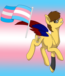 Size: 1080x1248 | Tagged: safe, artist:fruiitypieq, artist:shycookieq, imported from derpibooru, oc, oc only, pegasus, pony, base used, glasses, grin, pegasus oc, pride, pride flag, raised hoof, smiling, solo, transgender, transgender pride flag, wings