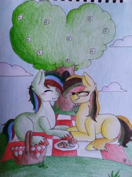 Size: 2836x3782 | Tagged: safe, artist:sweetie_plush6, imported from derpibooru, oc, oc only, earth pony, pony, basket, blushing, eyes closed, female, food, glasses, happy, high res, male, mare, muffin, picnic, picnic basket, smiling, stallion, traditional art