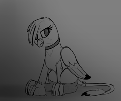 Size: 2400x2000 | Tagged: safe, artist:somber, imported from derpibooru, gabby, griffon, choker, clothes, edgy, female, goth, high res, sitting, sketch, solo