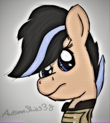 Size: 490x550 | Tagged: safe, artist:pegasski, imported from derpibooru, oc, oc only, earth pony, pony, fallout equestria, bust, clothes, earth pony oc, eyelashes, female, mare, solo