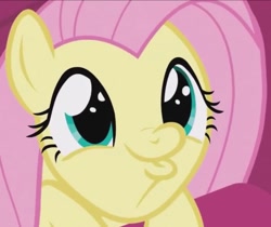 Size: 711x596 | Tagged: safe, imported from derpibooru, screencap, fluttershy, pegasus, pony, season 9, sweet and smoky, spoiler:s09, awesome face, cropped, cute, daaaaaaaaaaaw, duckface, female, hnnng, mare, shyabetes, so awesome, solo, solo female