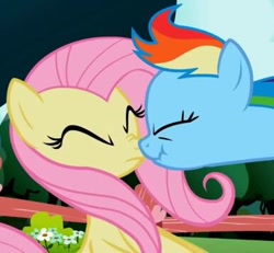 Size: 386x357 | Tagged: safe, imported from derpibooru, screencap, fluttershy, rainbow dash, pegasus, pony, may the best pet win, season 2, boop, close-up, cropped, duo, eyes closed, female, mare, nose to nose, noseboop, out of context, scrunchy face