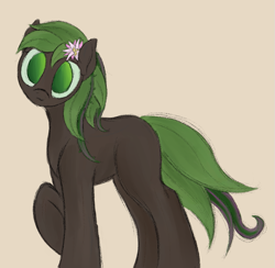 Size: 693x677 | Tagged: safe, artist:ahorseofcourse, oc, original species, plant pony, pony, plant, solo