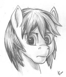 Size: 600x701 | Tagged: safe, artist:tauts05, imported from derpibooru, oc, oc only, pony, bust, male, monochrome, portrait, solo, stallion