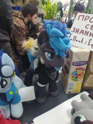 Size: 1620x2160 | Tagged: safe, imported from derpibooru, soarin', oc, oc:vibrant star, human, 2021, cyrillic, irl, irl human, newbronycon, photo, plushie, rubronycon, russian