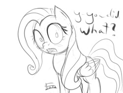 Size: 800x600 | Tagged: safe, artist:crade, fluttershy, pegasus, pony, female, looking at you, monochrome, shocked, sketch, solo, solo female