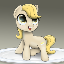 Size: 1111x1111 | Tagged: safe, artist:nimaru, imported from derpibooru, oc, oc only, oc:butterscotch (nimaru), earth pony, pony, dish, female, filly, solo