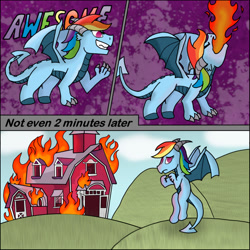 Size: 1280x1280 | Tagged: safe, artist:lordpuhadk, artist:zeccy-zebra, imported from derpibooru, rainbow dash, dragon, barn, comic, dragoness, dragonified, female, fire, fire breath, guilty, rainbow dragon, solo, species swap, this will end in angry countryisms