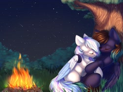 Size: 2732x2048 | Tagged: safe, artist:alphadesu, imported from derpibooru, oc, oc only, oc:contrail skies, oc:slumber, pegasus, pony, campfire, cuddling, female, forest, high res, male, night, oc x oc, shipping