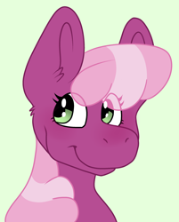 Size: 2348x2917 | Tagged: safe, artist:pidoveypaws, artist:stellarderp, imported from derpibooru, cheerilee, earth pony, pony, bust, eye clipping through hair, female, high res, mare, simple background, smiling, solo