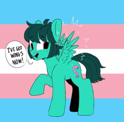 Size: 2285x2249 | Tagged: safe, artist:tallaferroxiv, oc, oc only, oc:talla femmod, pony, dialogue, open mouth, pride, pride flag, purple eyes, race swap, raised hoof, solo, transgender, transgender pride flag, wings