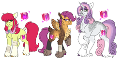 Size: 6000x3000 | Tagged: safe, artist:gingygin, imported from derpibooru, apple bloom, scootaloo, sweetie belle, earth pony, pegasus, pony, unicorn, absurd resolution, alternate design, bandaid, bandaid on nose, blaze (coat marking), clothes, coat markings, cutie mark crusaders, eyebrows, eyebrows visible through hair, facial markings, feathered fetlocks, female, goldie delicious' shawl, height difference, hoof fluff, hoof wraps, leg wraps, long feather, looking at you, mare, older, older apple bloom, older cmc, older scootaloo, older sweetie belle, shawl, simple background, smiling, smiling at you, socks (coat markings), star (coat marking), trio, trio female, unshorn fetlocks, white background