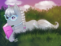 Size: 2048x1536 | Tagged: safe, artist:luckyxlynn, imported from derpibooru, silver spoon, pony, book, female, filly, grass, reading, solo