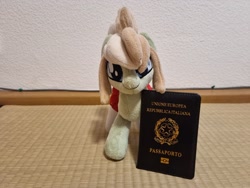 Size: 2048x1536 | Tagged: safe, artist:xeto_de, imported from derpibooru, oc, oc only, oc:milli, pony, eponafest, italy, nation ponies, passport, plushie, ponified, solo