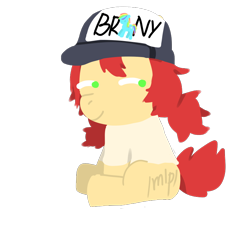 Size: 828x828 | Tagged: safe, artist:srdss, oc, oc:conpone, earth pony, pony, art pack:chinese commission artwork expo, hat, simple background, sitting, smiling