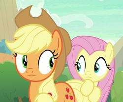 Size: 960x800 | Tagged: safe, imported from derpibooru, screencap, applejack, fluttershy, earth pony, pegasus, pony, sounds of silence, applejack's hat, confused, cowboy hat, cropped, duo, duo female, female, hat, hiding, looking at each other, mare