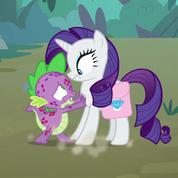 Size: 900x900 | Tagged: safe, imported from derpibooru, screencap, rarity, spike, dragon, pony, unicorn, molt down, season 8, spoiler:s08, bag, cropped, duo, female, male, mare, pushing, saddle bag, stone scales