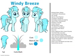 Size: 1024x768 | Tagged: safe, artist:windy breeze, imported from derpibooru, oc, oc only, oc:windy breeze, pegasus, pony, butt, cutie mark, looking at you, plot, reference sheet, simple background, solo, tail