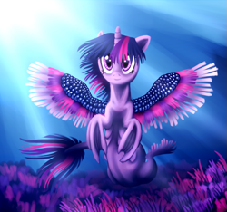 Size: 1117x1044 | Tagged: safe, artist:wolframclaws, imported from derpibooru, twilight sparkle, alicorn, hybrid, merpony, pony, seapony (g4), coral, crepuscular rays, female, fish tail, flowing mane, flowing tail, horn, ocean, purple eyes, seaponified, seapony twilight, smiling, solo, species swap, spread wings, sunlight, tail, twilight sparkle (alicorn), underwater, water, wings