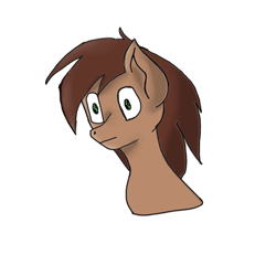Size: 2048x2048 | Tagged: safe, artist:skylarpalette, imported from derpibooru, oc, oc only, pony, bust, high res, old art, solo