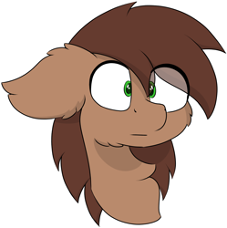 Size: 4880x4904 | Tagged: safe, artist:skylarpalette, imported from derpibooru, oc, oc only, pony, brown fur, brown mane, bust, green eyes, redraw, shocked, simple background, simple shading, solo, stare, transparent background