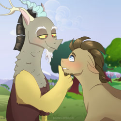 Size: 1280x1280 | Tagged: safe, artist:primrosepaper, imported from derpibooru, discord, doctor whooves, time turner, draconequus, earth pony, pony, beard, blushing, cloud, crack shipping, facial hair, gay, grass, looking at each other, male, shipping, sky, stallion, tree