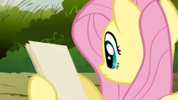 Size: 720x404 | Tagged: safe, edit, edited screencap, imported from derpibooru, screencap, fluttershy, pegasus, pony, putting your hoof down, exploitable meme, female, meme, paper, solo, template
