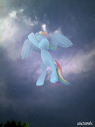 Size: 756x1008 | Tagged: safe, artist:catachromatic, imported from derpibooru, rainbow dash, pegasus, pony, cloud, digital painting, female, flying, low angle, mare, night, real life background, signature, sky, sky background, solo, stars, tree, worm's eye view