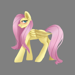 Size: 1000x1000 | Tagged: safe, artist:zuzya, imported from derpibooru, fluttershy, pegasus, pony, blushing, cute, daaaaaaaaaaaw, full body, gray background, shyabetes, simple background, smiling, solo