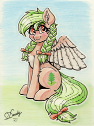 Size: 2680x3568 | Tagged: safe, artist:dandy, imported from derpibooru, oc, oc only, oc:sylvia evergreen, pegasus, pony, blushing, braided pigtails, chest fluff, colored pencil drawing, ear fluff, female, freckles, hair tie, high res, looking at you, pale belly, signature, sitting, smiling, solo, traditional art, two toned wings, white belly, wings