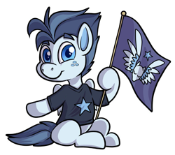 Size: 789x701 | Tagged: safe, artist:transformartive, edit, editor:anonymous, editor:edits of hate, imported from twibooru, oc, oc:silver span, pegasus, pony, /mlp/, clothes, colt, flag, image, looking at you, male, pegasus flag, png, shirt, simple background, sitting, smiling, solo, stars, unofficial edits thread, white background