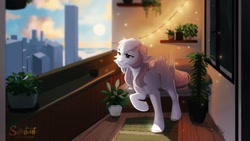 Size: 1920x1080 | Tagged: safe, artist:silentwulv, imported from derpibooru, oc, oc only, pegasus, pony, balcony, city, pegasus oc, potted plant, solo, string lights, window, wings