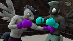 Size: 1920x1080 | Tagged: safe, artist:ray cyber tech, imported from derpibooru, rumble, thunderlane, anthro, pegasus, 3d, boxing, boxing gloves, boxing ring, boxing shorts, brothers, clothes, male, older, older rumble, partial nudity, punch, siblings, source filmmaker, sports, topless