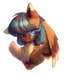 Size: 2800x3300 | Tagged: safe, artist:avroras_world, imported from derpibooru, oc, oc only, pegasus, pony, cute, female, high res, mare, pegasus oc, request, requested art, wings